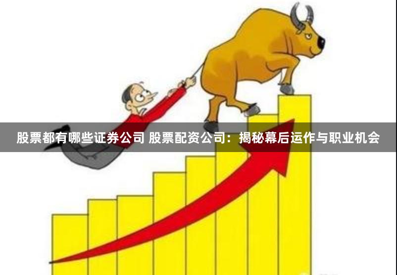 股票都有哪些证券公司 股票配资公司：揭秘幕后运作与职业机会