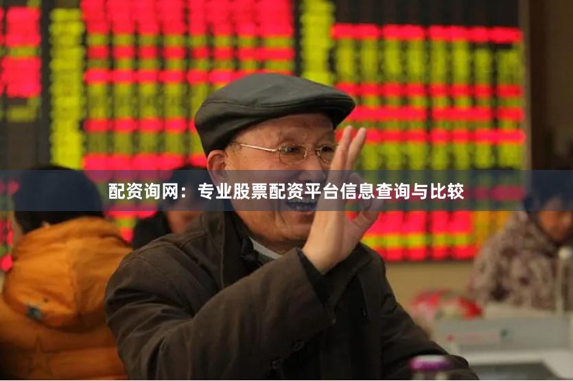配资询网：专业股票配资平台信息查询与比较